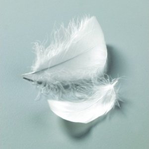 Dekorfjädrar 50-100 mm - 10 g/110 st Dekorfjädrar 50-100 mm - 10 g/110 st